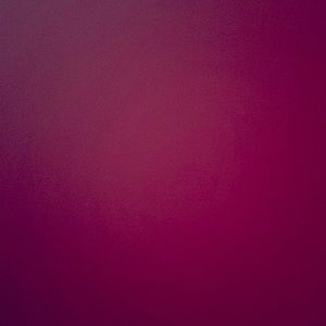 Women’s Marine Serre 2 piece outfit